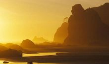 这个月底，财喜两旺，富贵双全，运势最佳，只甜不苦的5大生肖