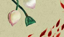 生肖属兔人2020年要注意什么，桃花来了要懂得把握分寸