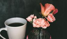 不争不抢，什么都很随便的星座