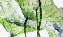 2020年7月出生的鼠宝宝高分独特名字推荐