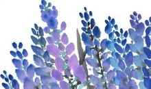 2020年12月出生的鼠好不好,宝宝能招四方之财