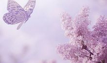 志向高远有追求的属相，12月份官运亨通，接大财迎大喜，富贵难挡