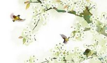 2020鼠年４月生肖属牛人的桃花运好吗，受环境影响需小心