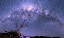 下降星座金牛座，常为生命苦心经营