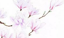 生肖属虎妈妈和生肖属狗爸爸跟什么生肖属相的孩子不合