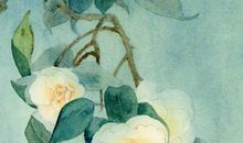 2020鼠年４月生肖属虎人的桃花运好吗，需等待多提升自身