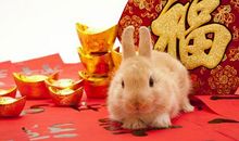 未来11天内，时来运转，五路财神登门，富贵有钱的五大生肖