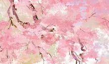 生肖属虎妈妈和生肖属龙爸爸跟什么生肖属相的孩子不合