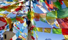 午时出生的人2020鼠年桃花运好吗，牡丹和龙有望提升桃花运