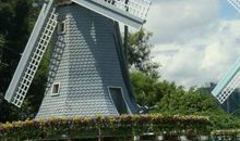 2020鼠年五行缺木的人贵人运好吗，会升职加薪吗