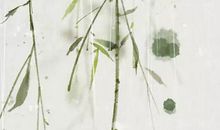 生肖属虎妈妈和生肖属兔爸爸跟什么生肖属相的孩子不合