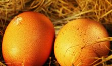 19年最后2月，时来运转，钞票翻番涨，富贵享不尽的三属相