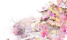 生肖属龙妈妈和生肖属猴爸爸不适合生什么属相的宝宝