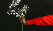 揭秘！盘点12生肖女恋爱作死指数