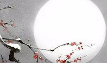 生肖属龙妈妈和生肖属鸡爸爸不适合生什么属相的宝宝