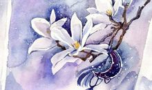 生肖属蛇妈妈和生肖属猪爸爸不适合生什么属相的宝宝