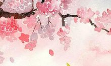 生肖属蛇妈妈和生肖属狗爸爸不适合生什么属相的宝宝