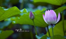 未来一周，财运最旺，3生肖鸿运驾到，事业如日中天，日子不愁钱