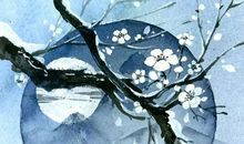 生肖属蛇妈妈和生肖属鸡爸爸不适合生什么属相的宝宝