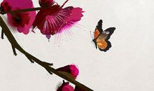 生肖属鸡人2020年要注意什么，六合入命运势太好小心招人嫉妒