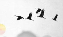 戊辰日柱遇2020庚子流年运程，找属猴的朋友合作回报不俗