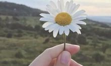 你的善良，就是最好的风水