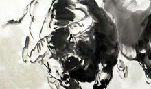 1997年属牛的人2021年运程 今年本命年多大了几岁？