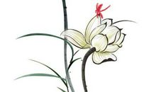 2020年2月5号出生的女孩是什么命，起什么名字运势好