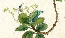 2020年农历三月二十一出生的女孩是命运如何，起名宜用什么字