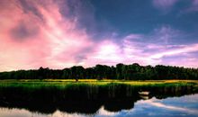 庚寅聚辛卯松柏木相生相克，喜水喜金但害怕炉中火大海水