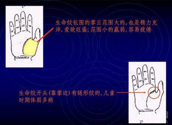 看手相算命图解，精准算出你人生的富贵贫贱寿命长短 1