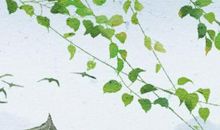 手上有佛眼纹的人是不是有佛缘