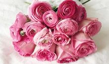 春节将近血型人哪方面能扬眉吐气