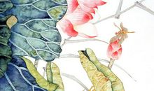 申时出生的人2020鼠年可以怀孕生子吗，感情稳定适合生子