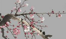 2020年8月28号出生的男孩怎么起名字，五行属什么