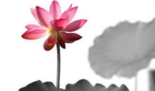 属马女和属羊男相配吗 婚姻状况怎么样(图文)