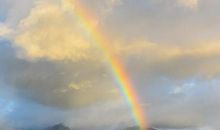 2019年最后一个月，给12星座一句提醒......