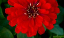 好运到来，横财砸到头的生肖，11月聚财赚金，再穷再苦也能转富