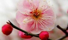 今年的年底，4属相能够成就一番事业，后福无穷，过更好的生活