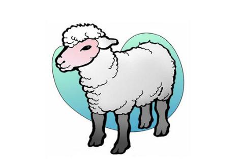出生于2003年属羊的人2020年运程大全