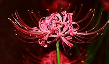 2020年财运更佳的4属相，运势如火如荼，事业登顶，生活充实富足