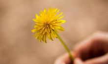 未来30天走出困境，好运来袭，添丁添福添财的生肖