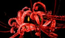 财神相助的4属相，明年财源滚滚落手中，事业走上坡路，越来越好