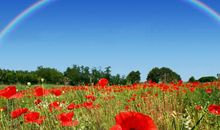 巳时出生的人2020鼠年运势运程好吗，财运如何