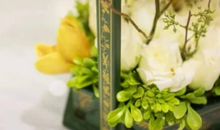 2020年3月生肖属兔和生肖属猴宜结婚黄道吉日