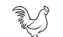 2021年属鸡人全年运程如何 属鸡人2021年每月运势大全