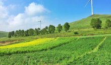 九九八十一难已过，3生肖转大运、中头彩，前有财神、后有靠山，收入蹭蹭涨