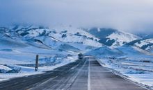 2020年鼠宝宝农历几月出生最好，农历五月出生中年钱财多多