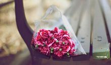 近期感情红灯频频亮的五生肖