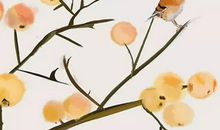 2020鼠年生肖属兔人的事业运，工作有望得到晋升机会